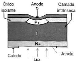 Figura 8 