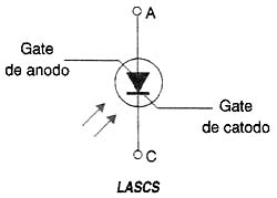 Figura 14 