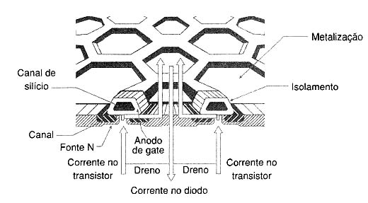 Figura 1 