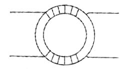 Representação do núcleo toroidal. 