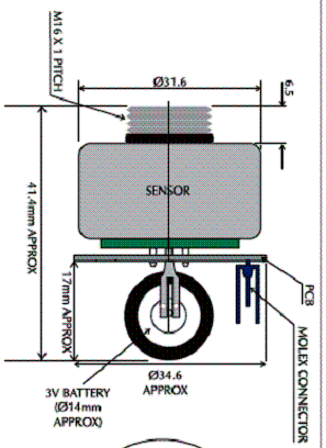 Figura 1
