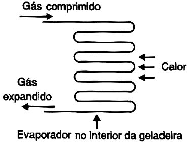 O evaporador retira o calor do interior da geladeira, o 