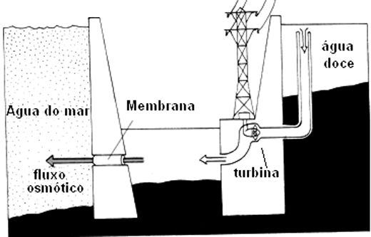 Figura 4 