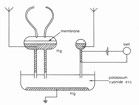 Figura 4 – Receptor de capilaridade de Piecher
