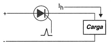 Figura 3 