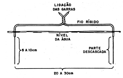    Figura 3 – Os eletrodos
