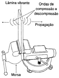 Formação do som. 