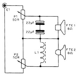 Figura 1 