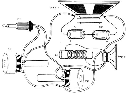 Figura 2 