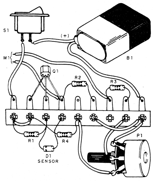 Figura 2 