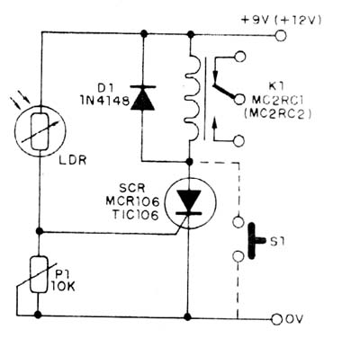 Figura 1
