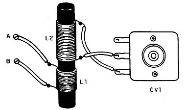 Figura 2
