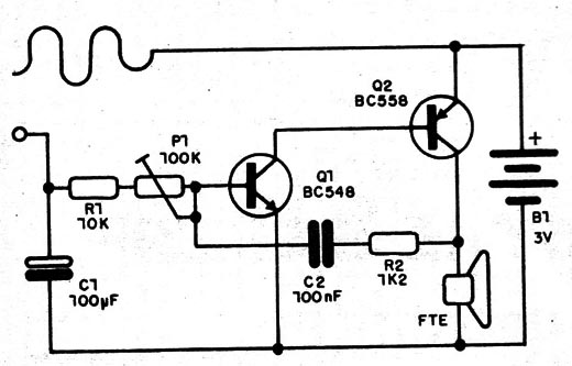    Figura 1 – Circuito do nervo-teste
