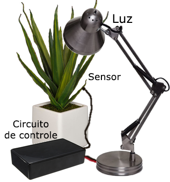 Experimento de um biofeedback com uma planta
