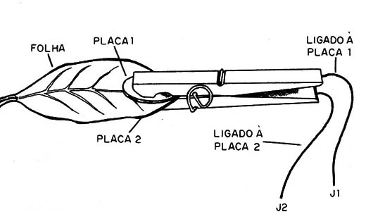 Figura 8 – Eletrodos para plantas
