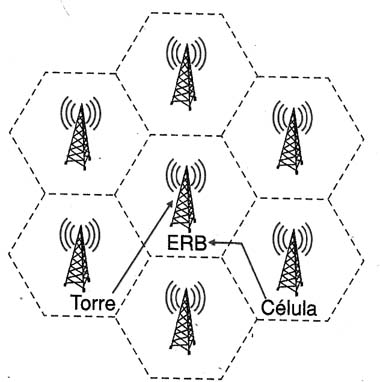 Figura 1
