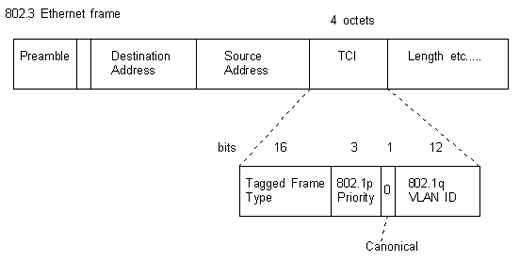 Figura 4
