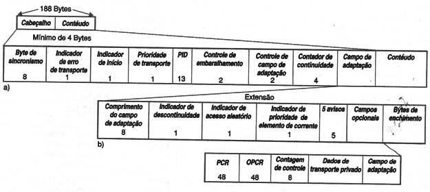 Figura 4 – PCR usado para recriar uma imagem
